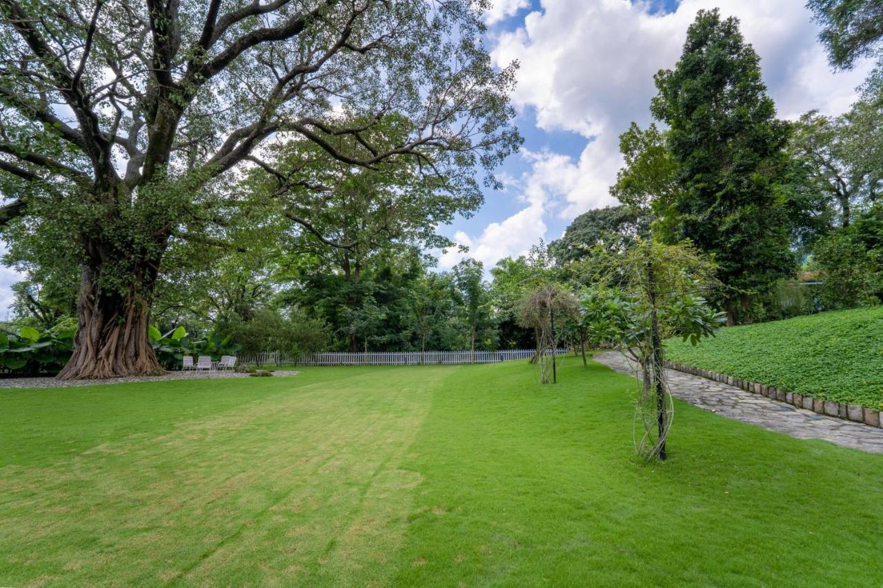 Lohonostays Ivy Cottage เดห์ราดุน ภายนอก รูปภาพ